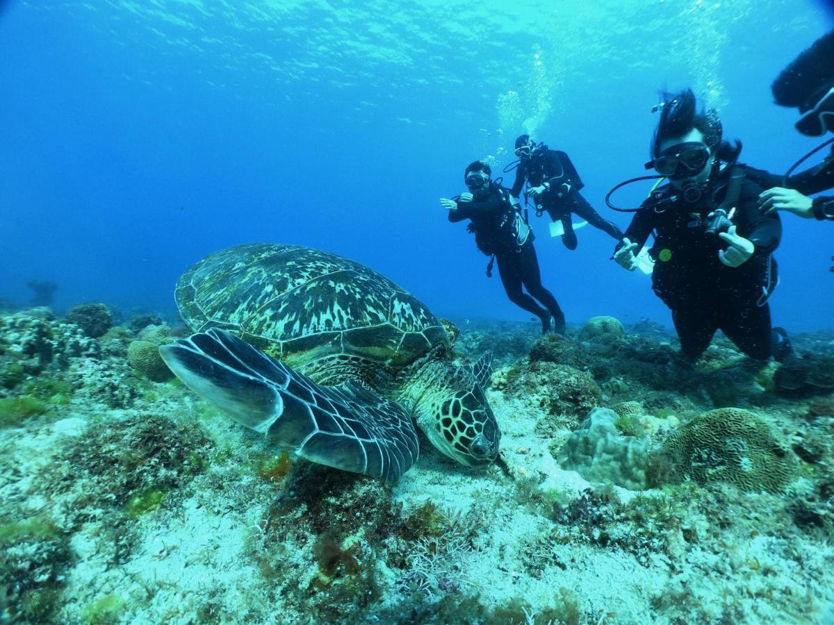 Stay Liuqiu Diving Hostel 샤오리우치우 외부 사진