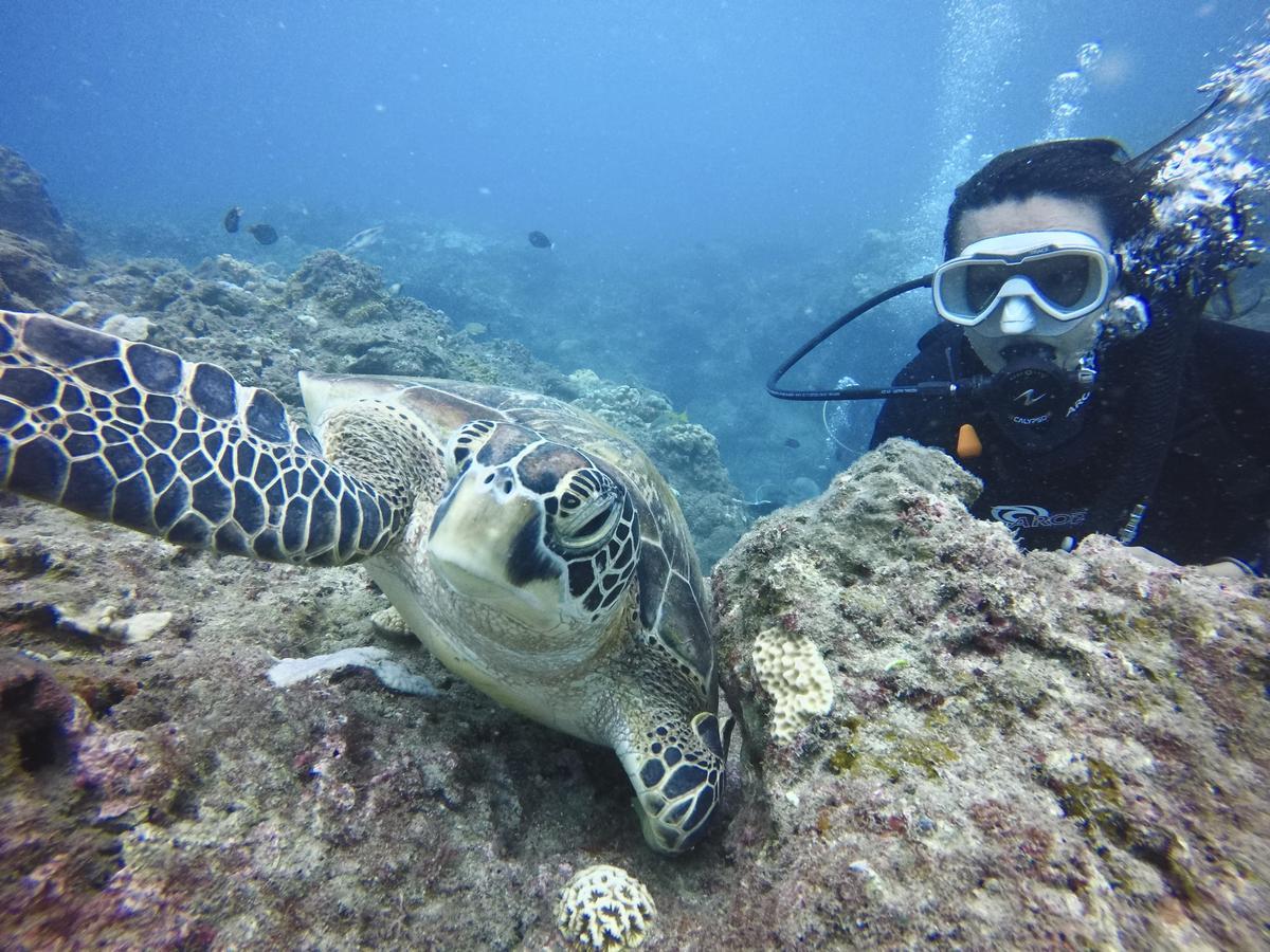 Stay Liuqiu Diving Hostel 샤오리우치우 외부 사진