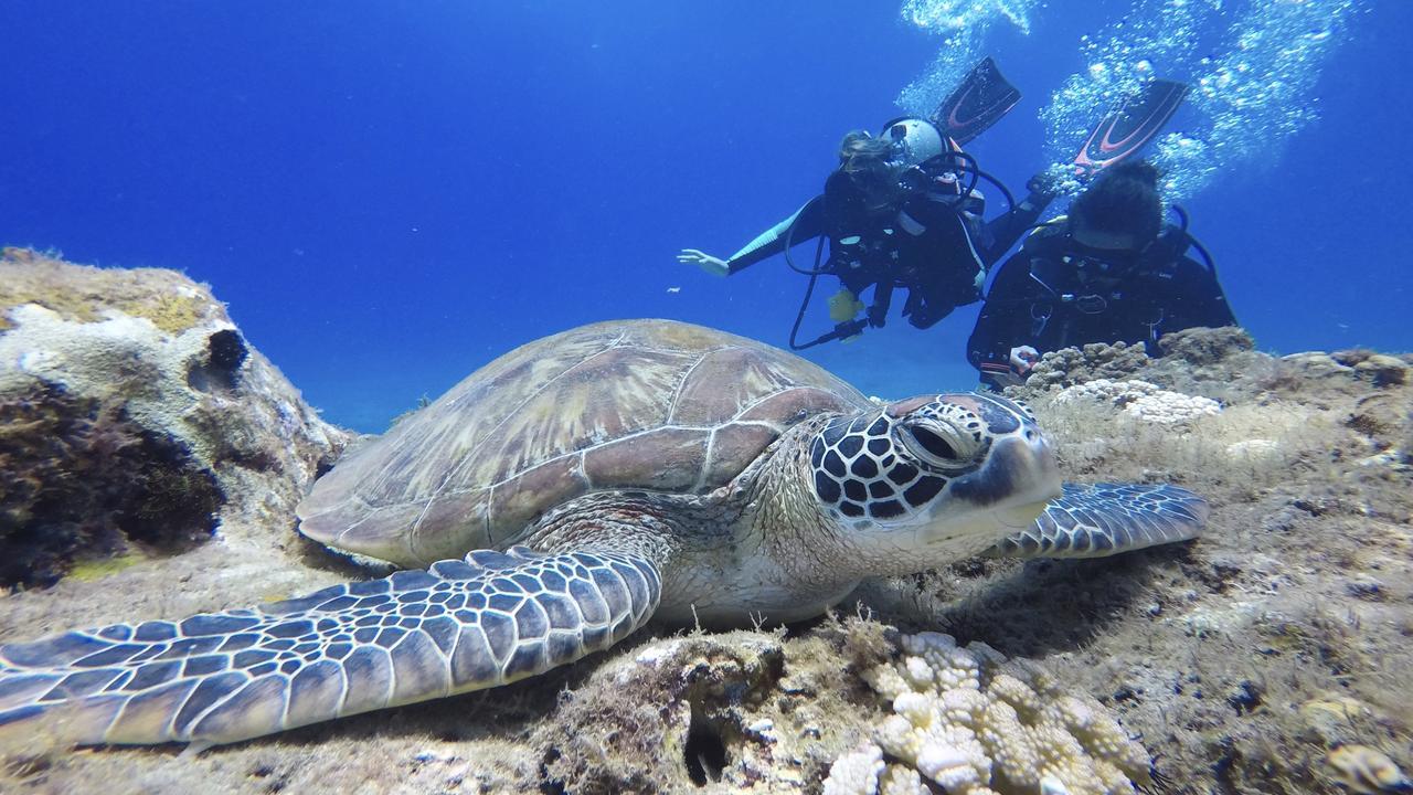 Stay Liuqiu Diving Hostel 샤오리우치우 외부 사진